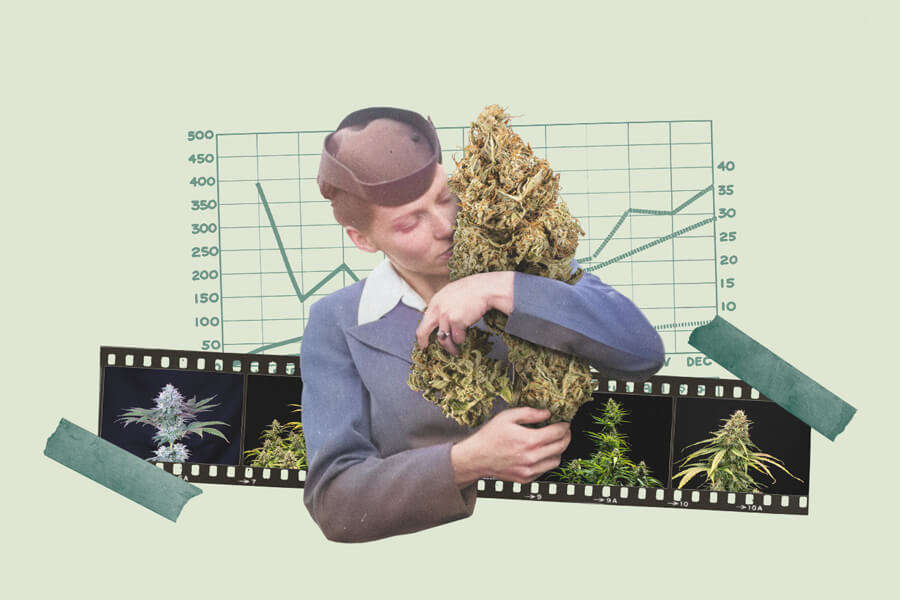 8 způsobů, jak zvýšit váš konopný high