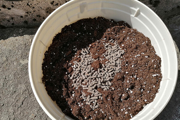 Easy Boost Organická Výživa