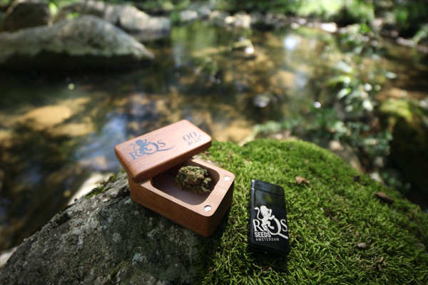 Plazmový Zapalovač RQS Plazmový Zapalovač RQS