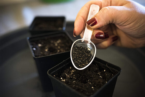 Easy Roots - Mykorhizní Mix