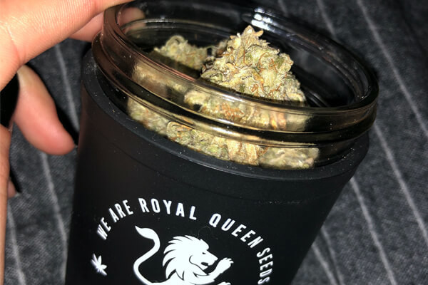 RQS Re:stash Nádoba