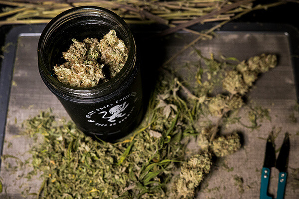 RQS Re:stash Nádoba