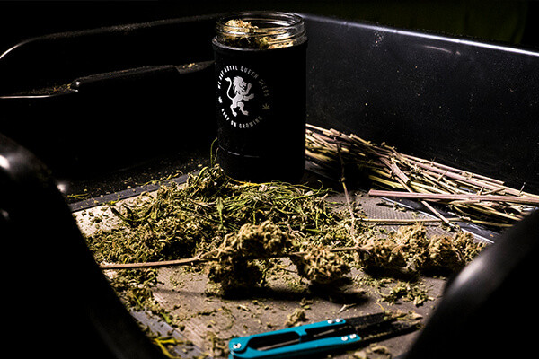 RQS Re:stash Nádoba