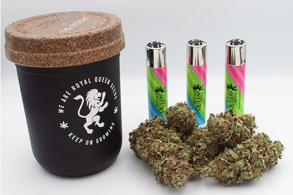 RQS Re:stash Nádoba